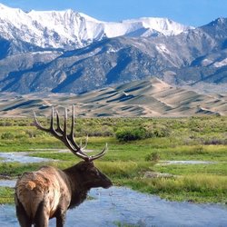 National Parks