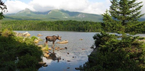 National Parks